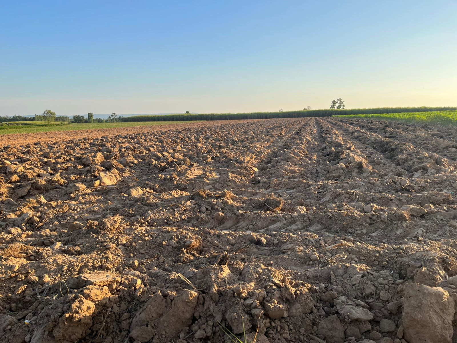 Farmland in rural Thailand